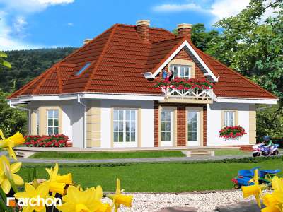 Widok