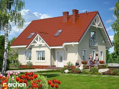 Widok