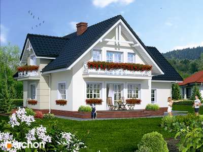 Widok