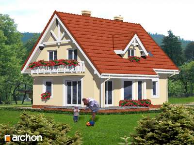 Widok