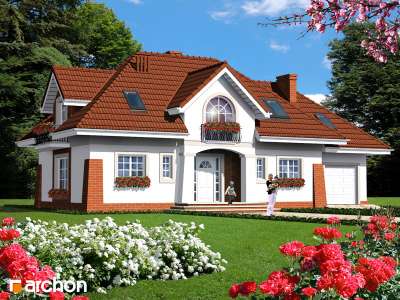 Widok