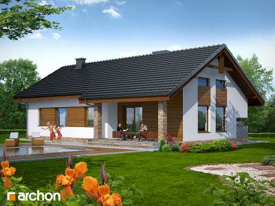 Widok