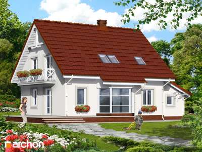 Widok
