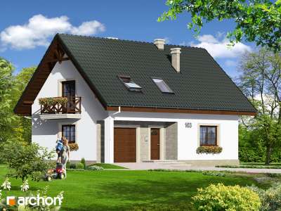 Widok