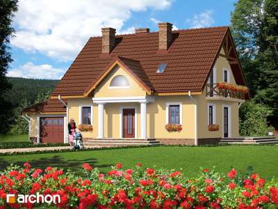 Widok