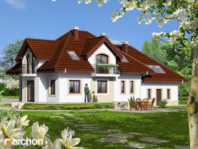 Widok