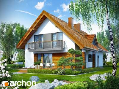 Widok