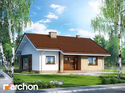 Widok