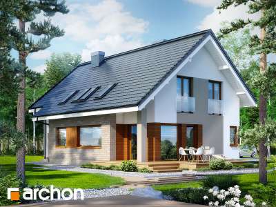 Widok