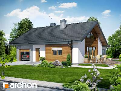 Widok