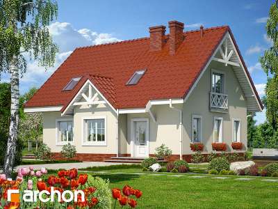 Widok